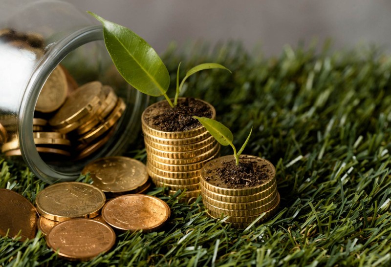 Imagen sostenibilidad y rentabilidad