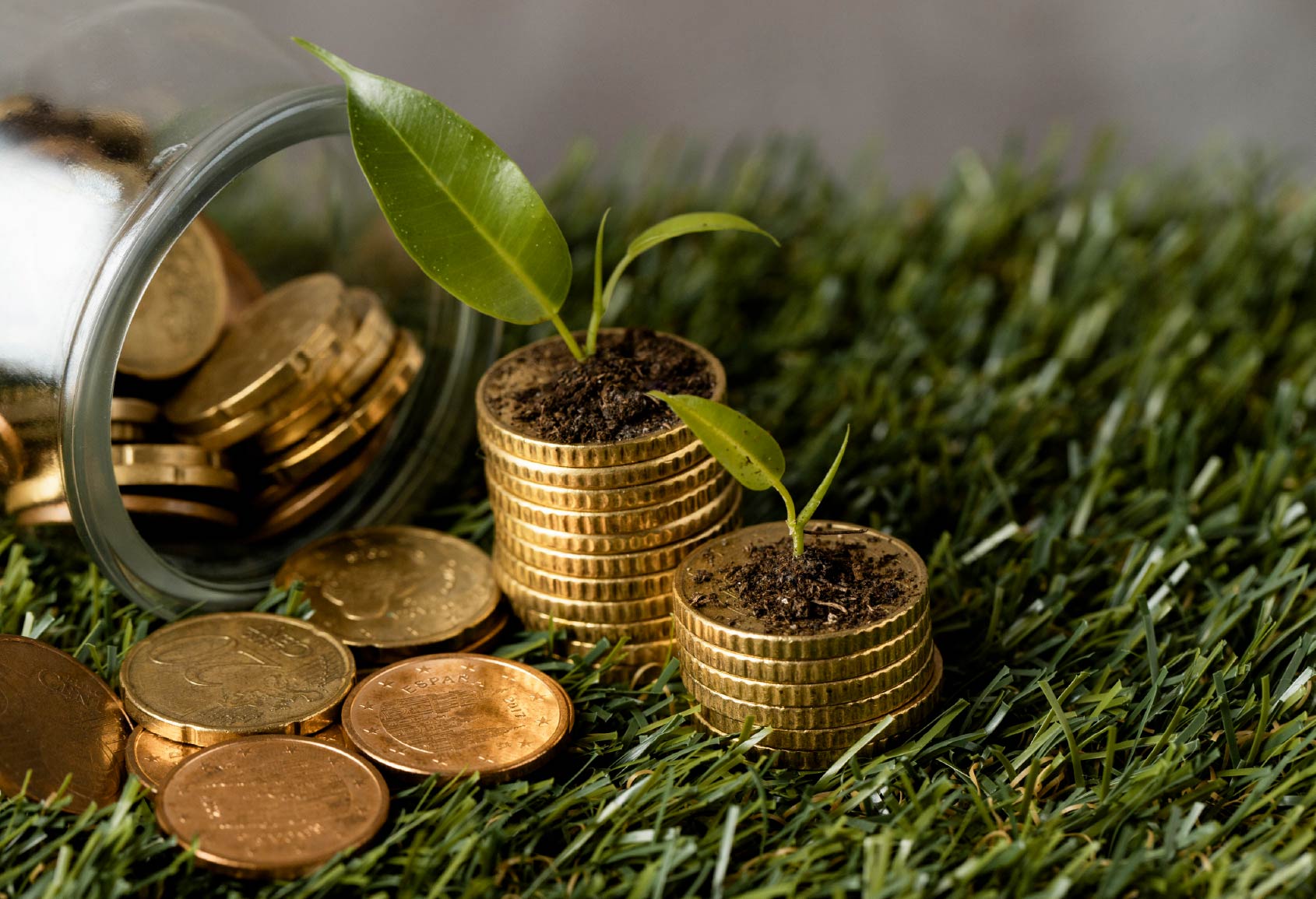 Imagen sostenibilidad y rentabilidad